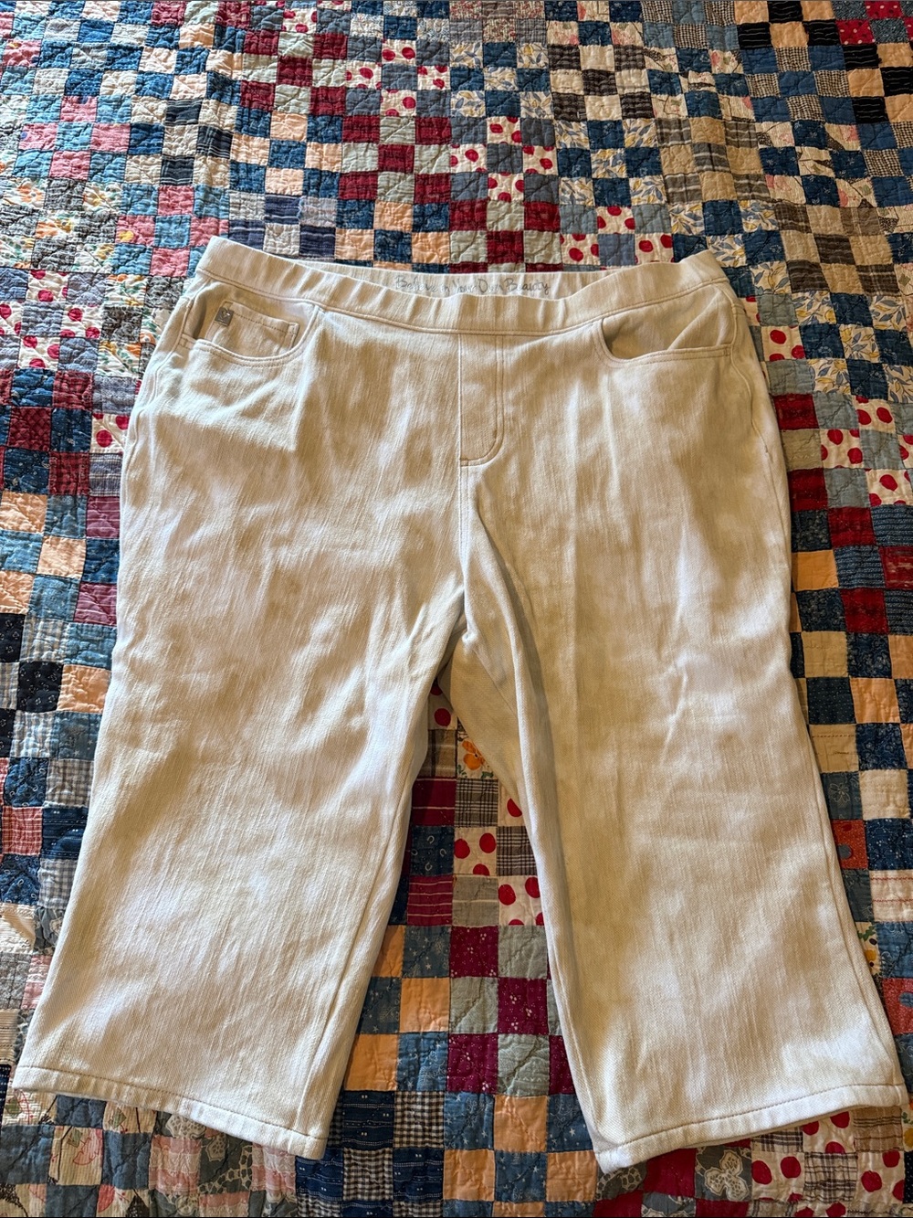 Belle Kim Gravel Capris  Pull On Pants Womens Size 18W